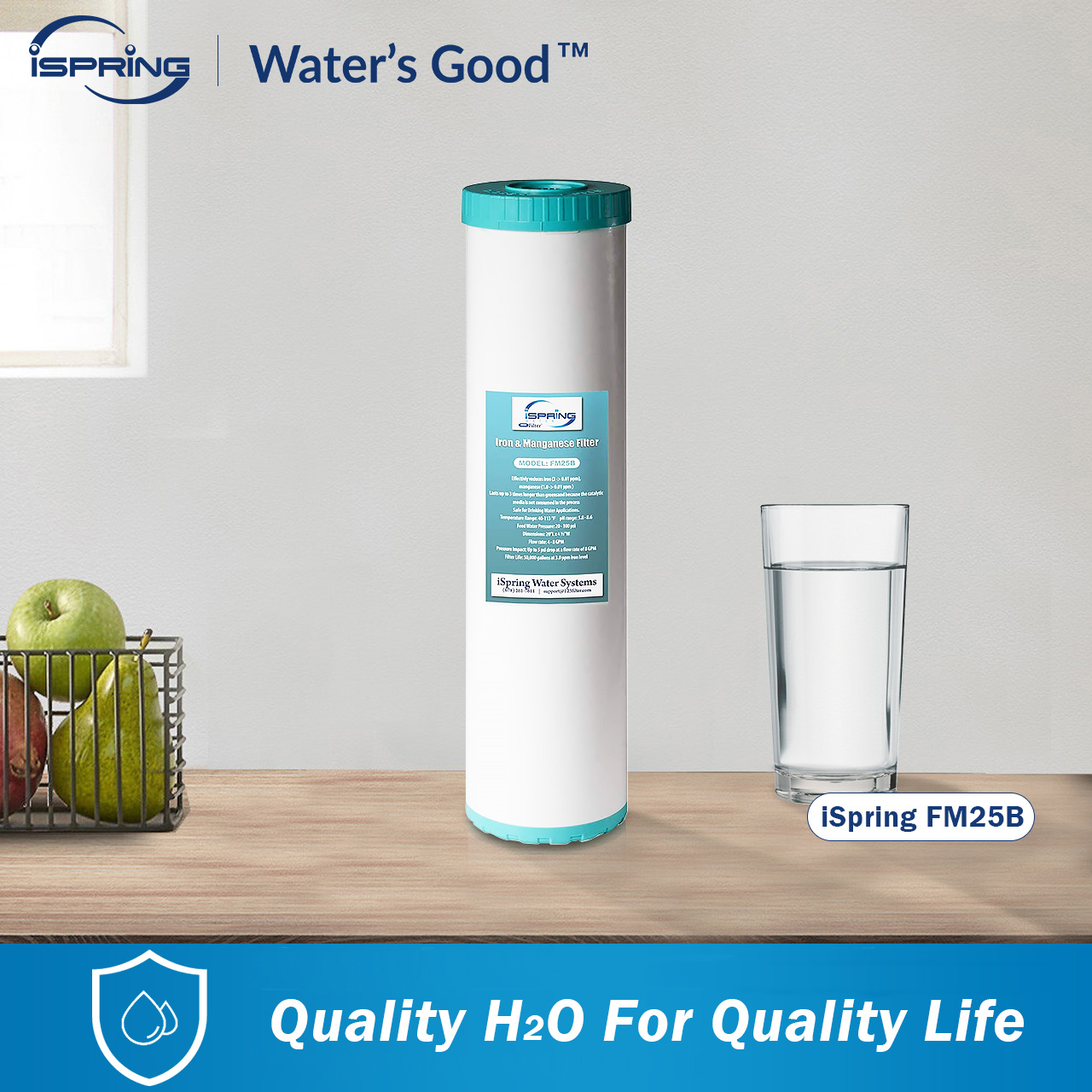 iSpring Whole House Water Filter Cartridge, Iron & Manganese Reducing