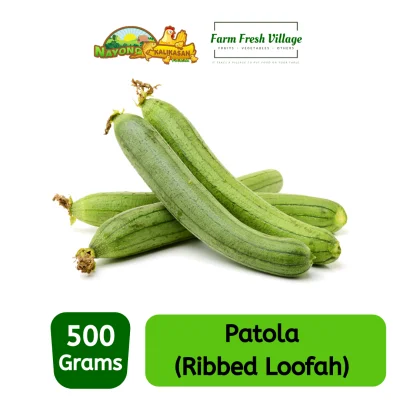 FARM FRESH VILLAGE Patola 500 grams