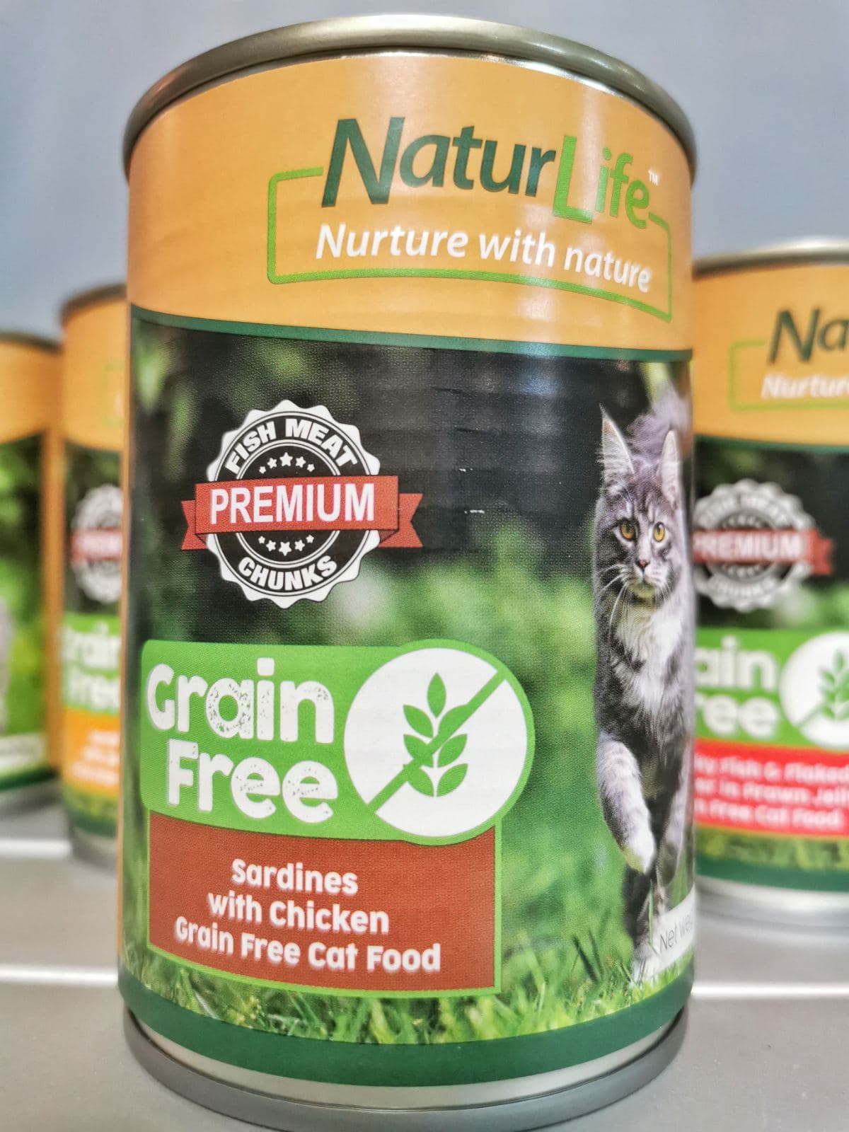 grain free cat wet food