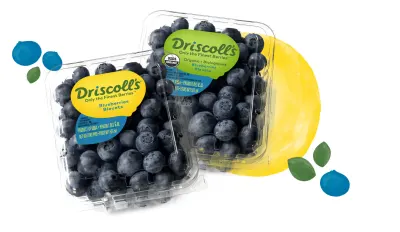 Blueberries- Driscoll’s 170g pack (NOT SEEDS)
