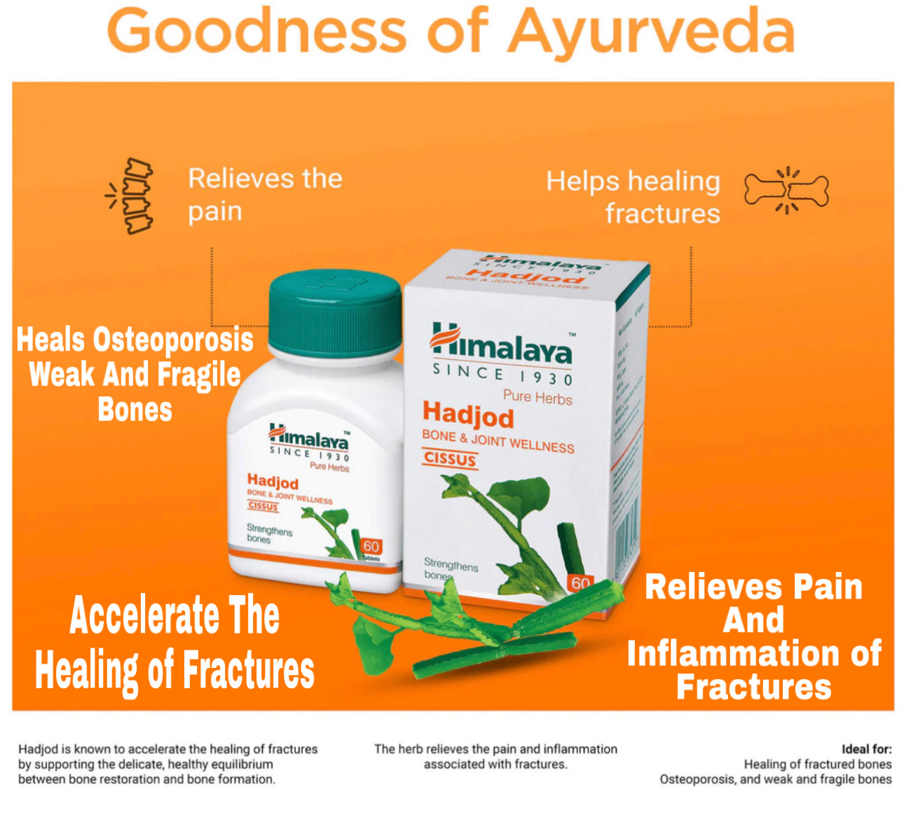 Himalaya Hadjod Strengthens Bone And Joints 60 Tabs Lazada PH