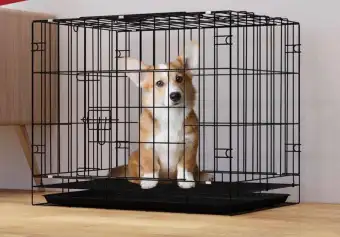 dog cages xl