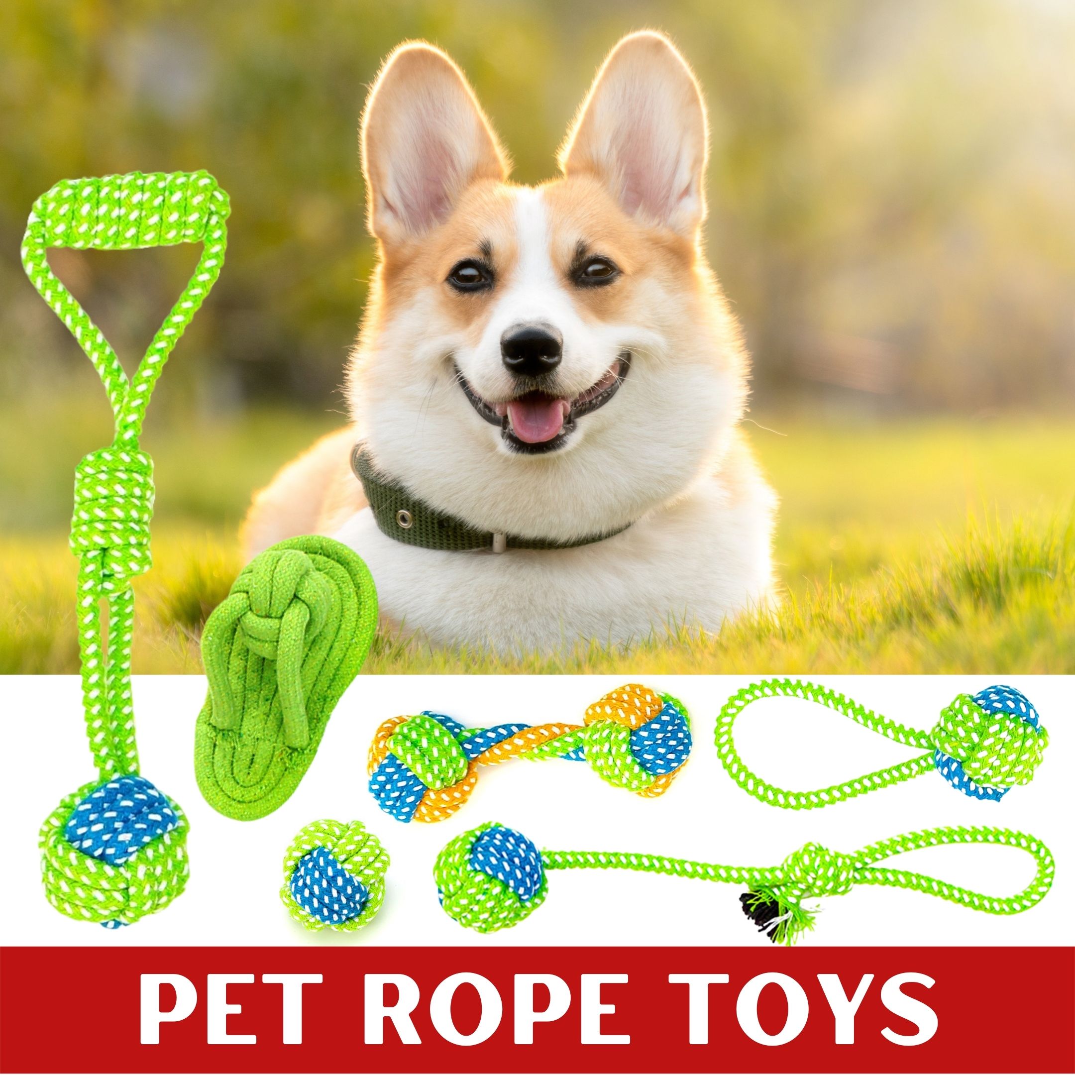 Is Rope Bad For Dogs