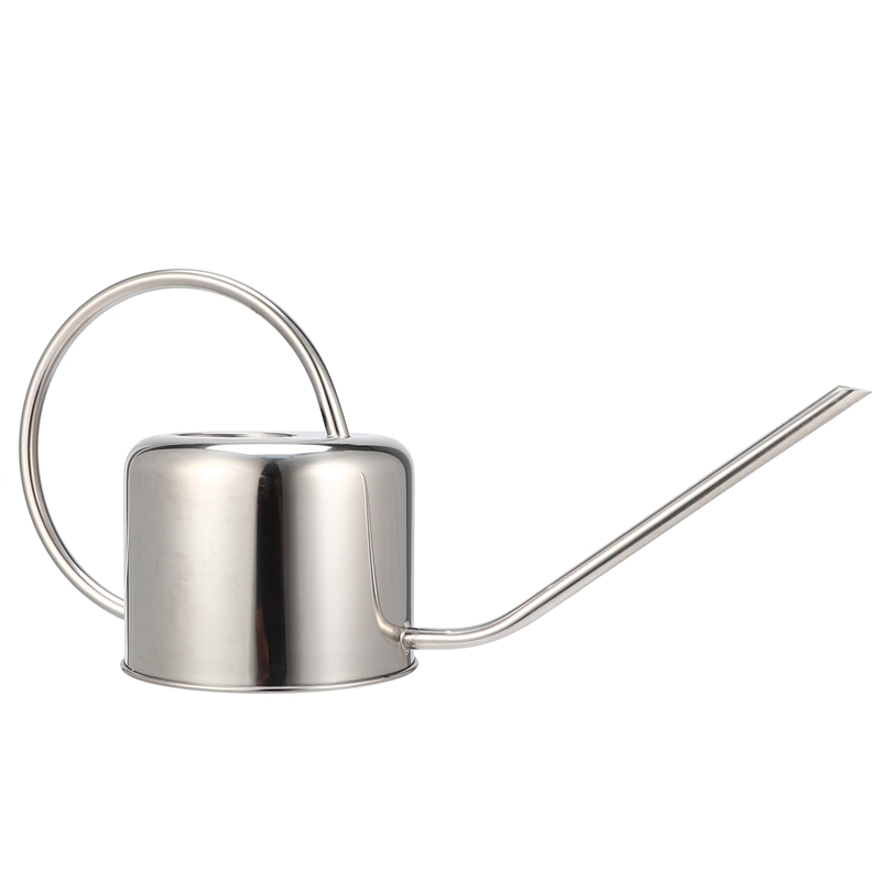 Stainless Steel Silver Watering Can for Succulent Plants Modern Style 900ML