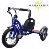 heavy duty trike bike