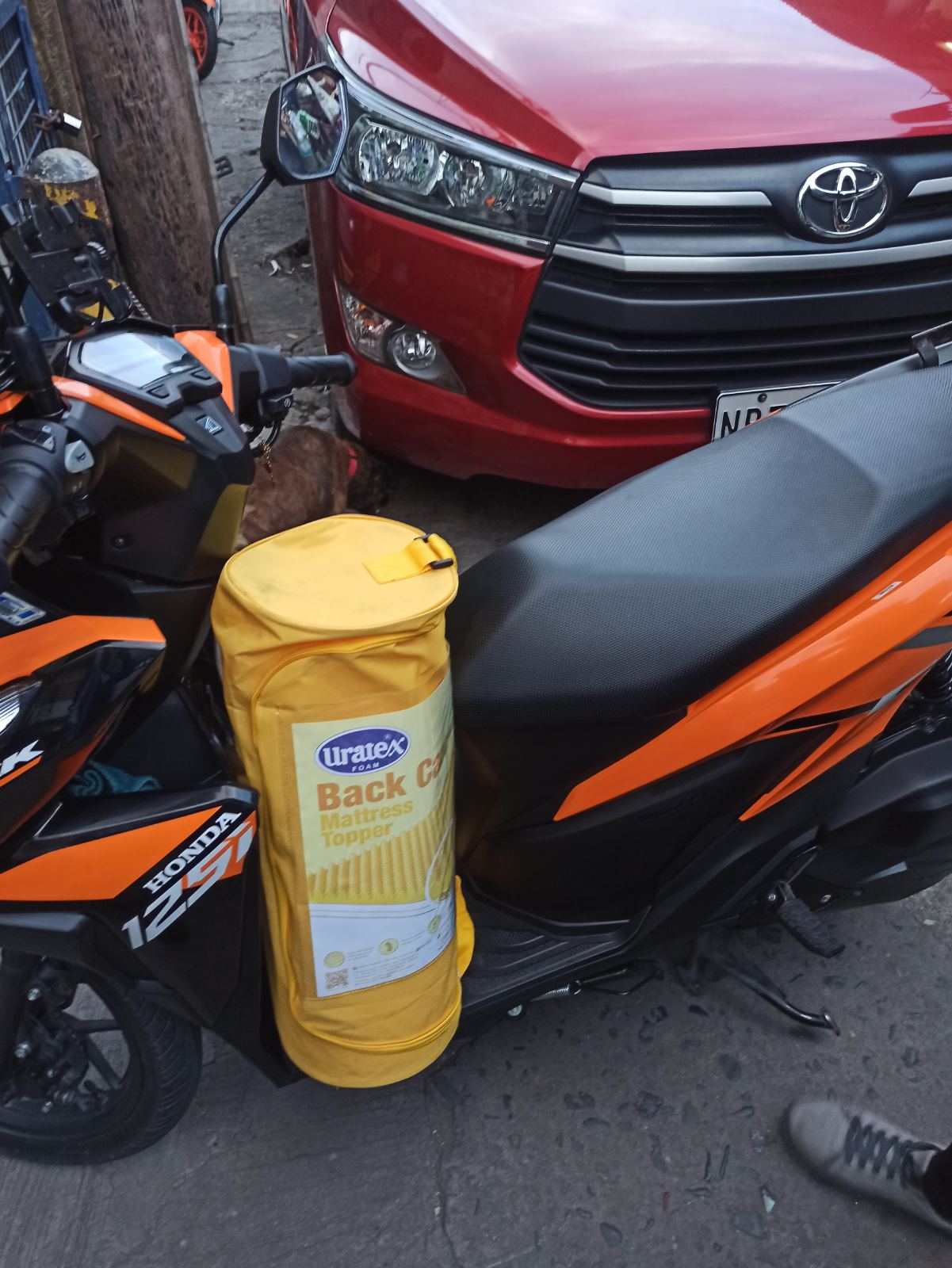 URATEX 100 GENUINE BACK CARE EGG CRATE (YELLOW FIRM FOAM) Lazada PH