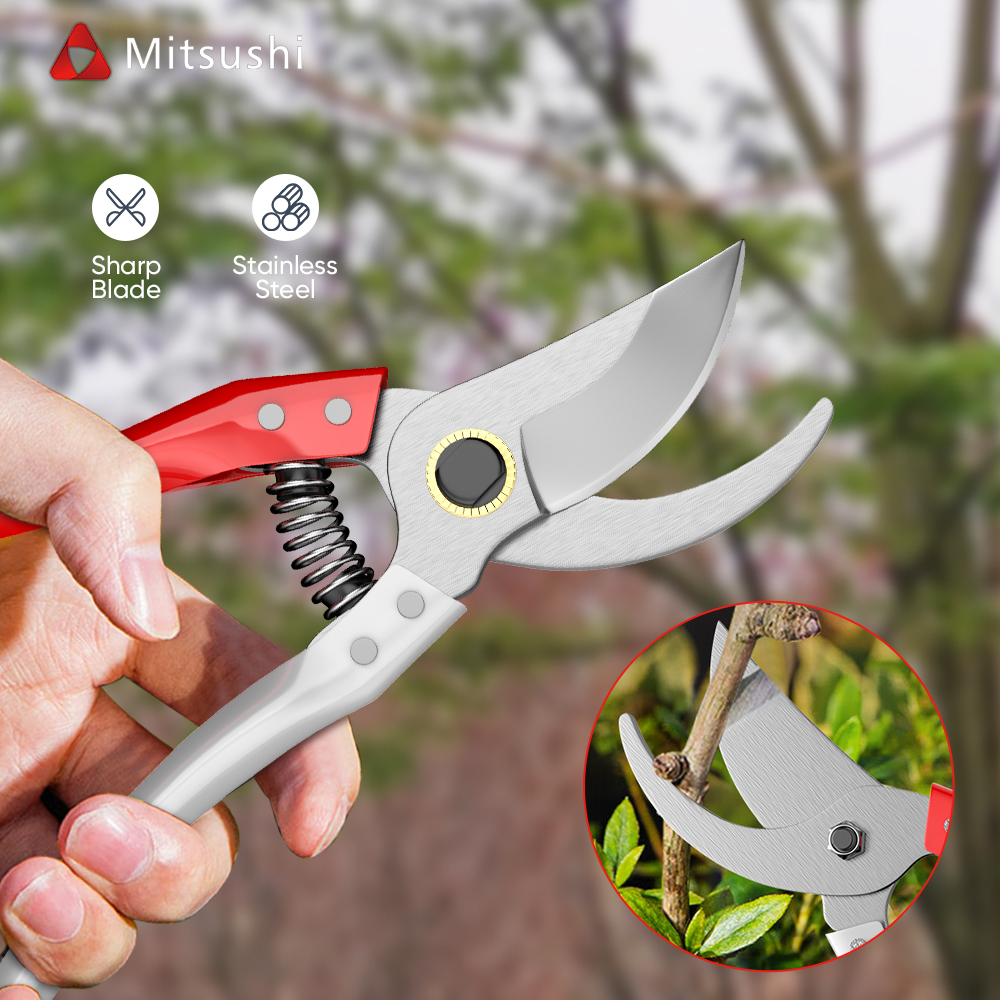  Garden Scissors, Gardening Tools Not Easily Deformed Trimming  Scissors for Cannabis for Flowers for Pruning Various Branches for Pruning  Flowers for Grasses : Patio, Lawn & Garden