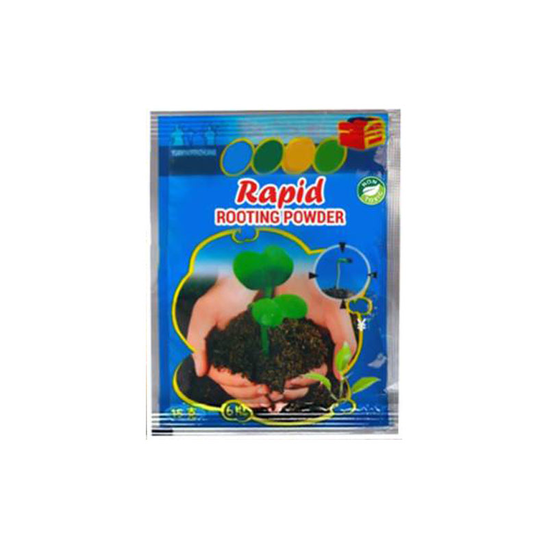 30Pcs Cherry Seeds Sweet and Delicious Tropical Fruit Seeds for Planting Indoor and Outdoor