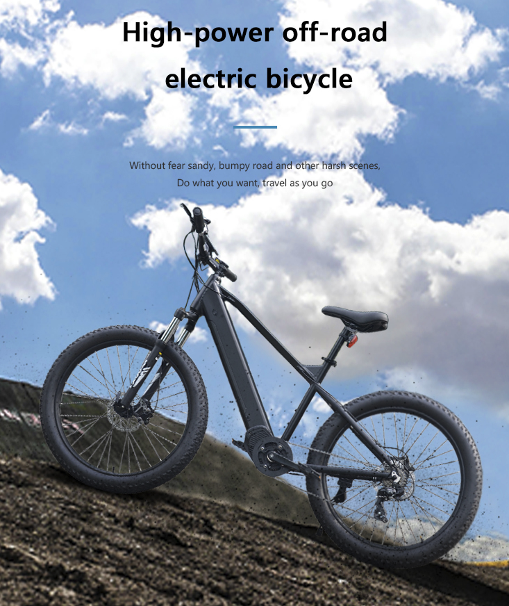 electric bicycle lazada
