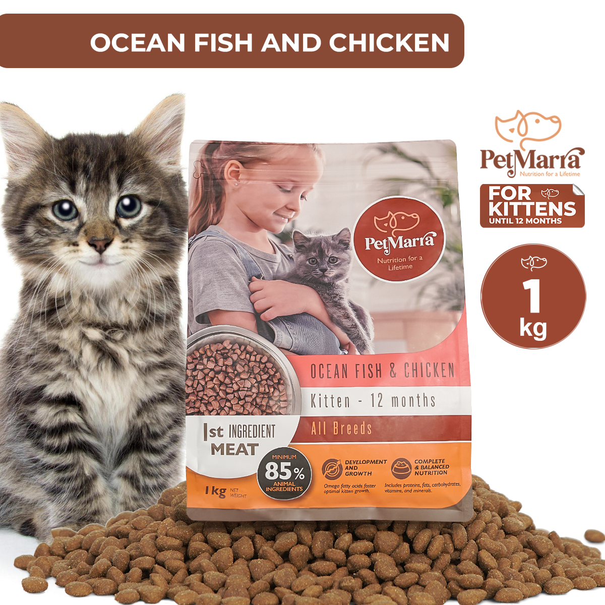 PetMarra Kitten Dry Food Ocean Fish and Chicken Flavor 1kg kittens pet