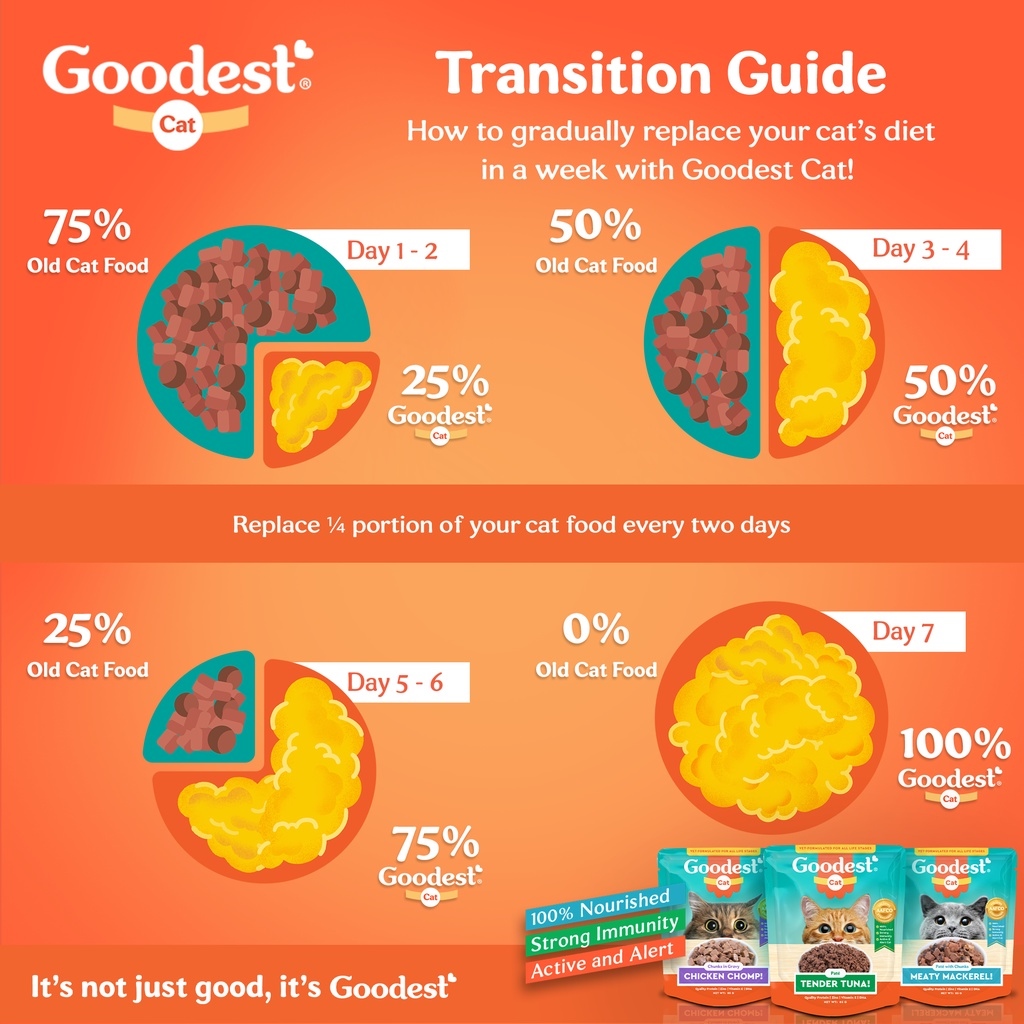 Small shop of love Goodest Cat MultiVariant Pack of 12 Wet Cat Food