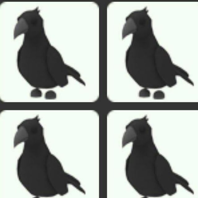 Crow Fr Nfr Adopt Me Pets No Cod Lazada Ph