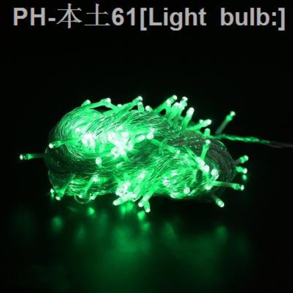 Light bulb 100L LED transparent wire christmas light with end