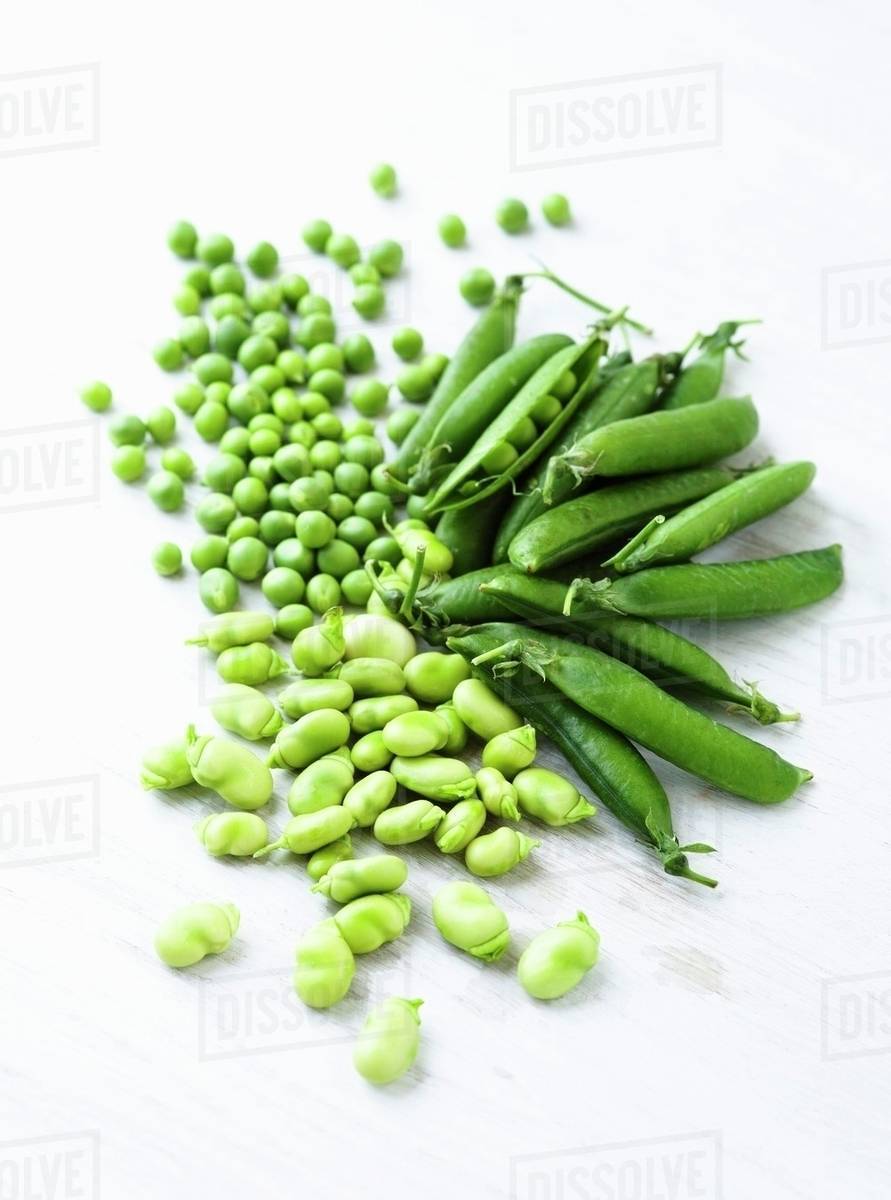 Hyacinth Beans / BATAW 10gram Vegetables seeds herbs plants supplies ...