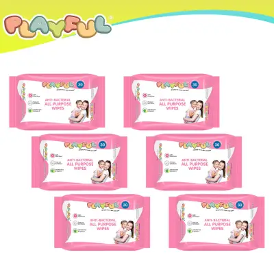 PLAYFUL Anti-Bacterial All Purpose Wipes 30's x 6 packs
