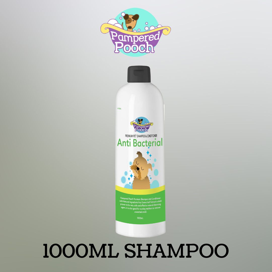 Pampered Pooch Shampoo Anti Bacterial 1L Lazada PH