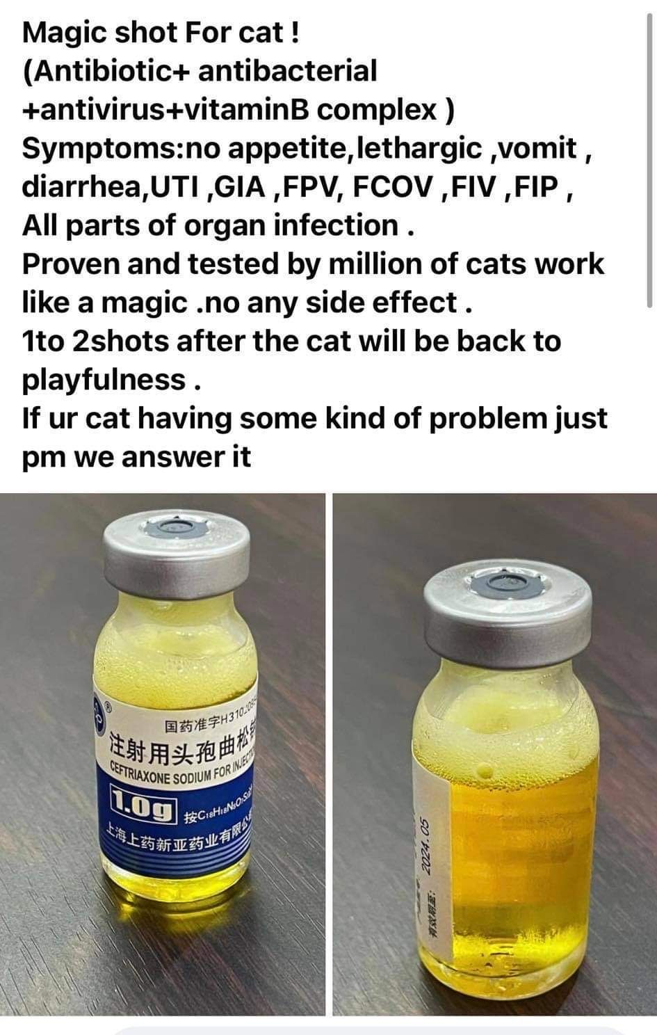 syrup red Giardia coccidia toxoplasma cats and dogs blood jelly stool