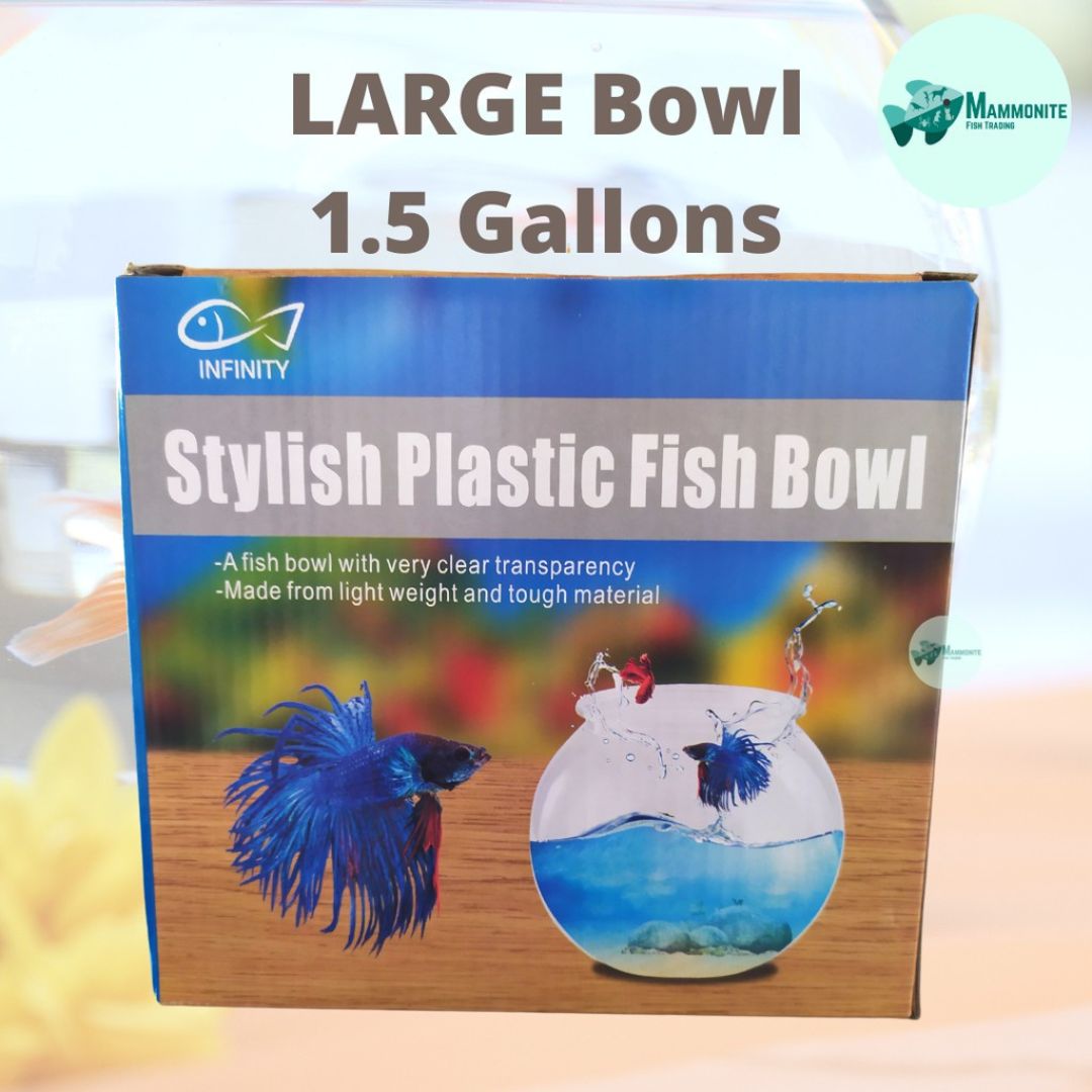 Plastic Fish Bowl Small Medium Large For Betta Guppy Molly Cichlid