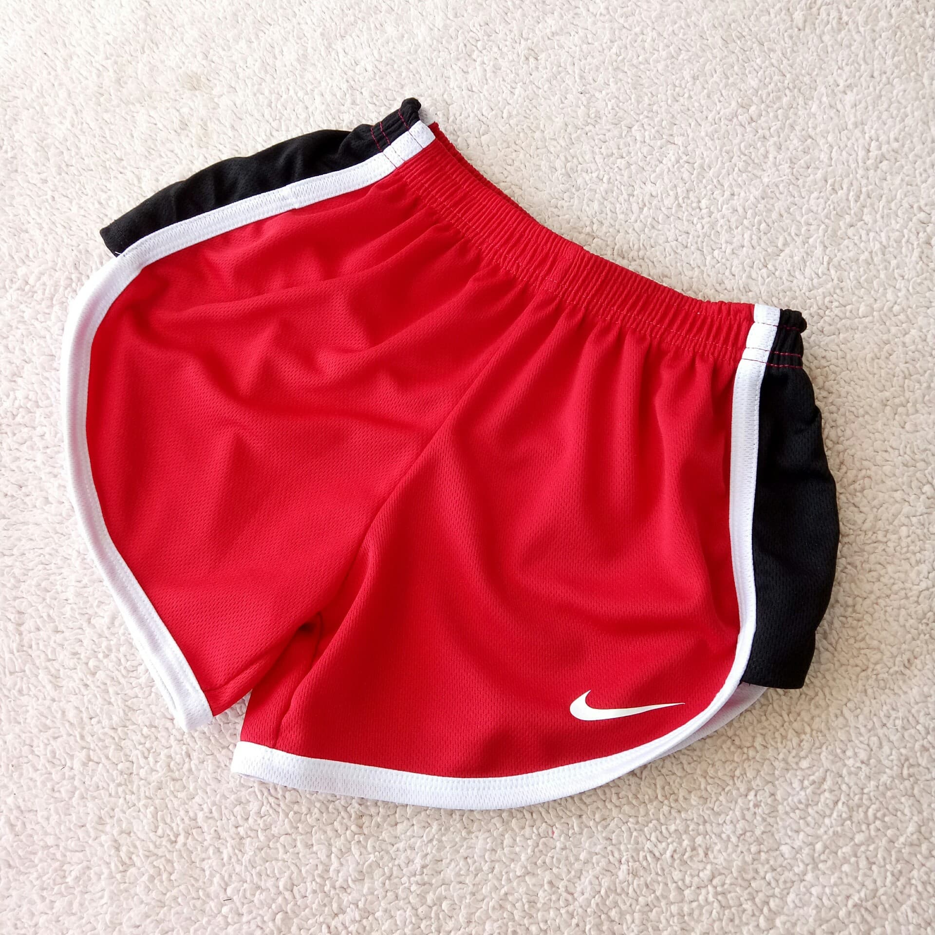 TriColor Booty ShortsTiktok Dolphin Shorts for Women Lazada PH