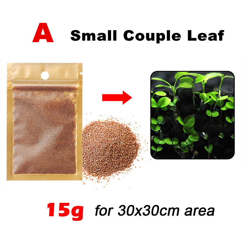 560g Aquarium Plant Seed Aquatic Plants Water Grass Seeds for Aquarium