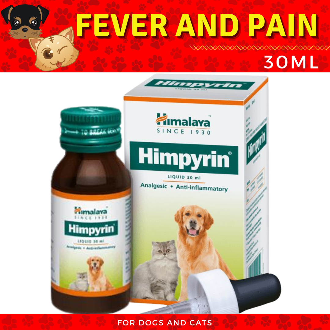 what medicine can i give my dog for fever