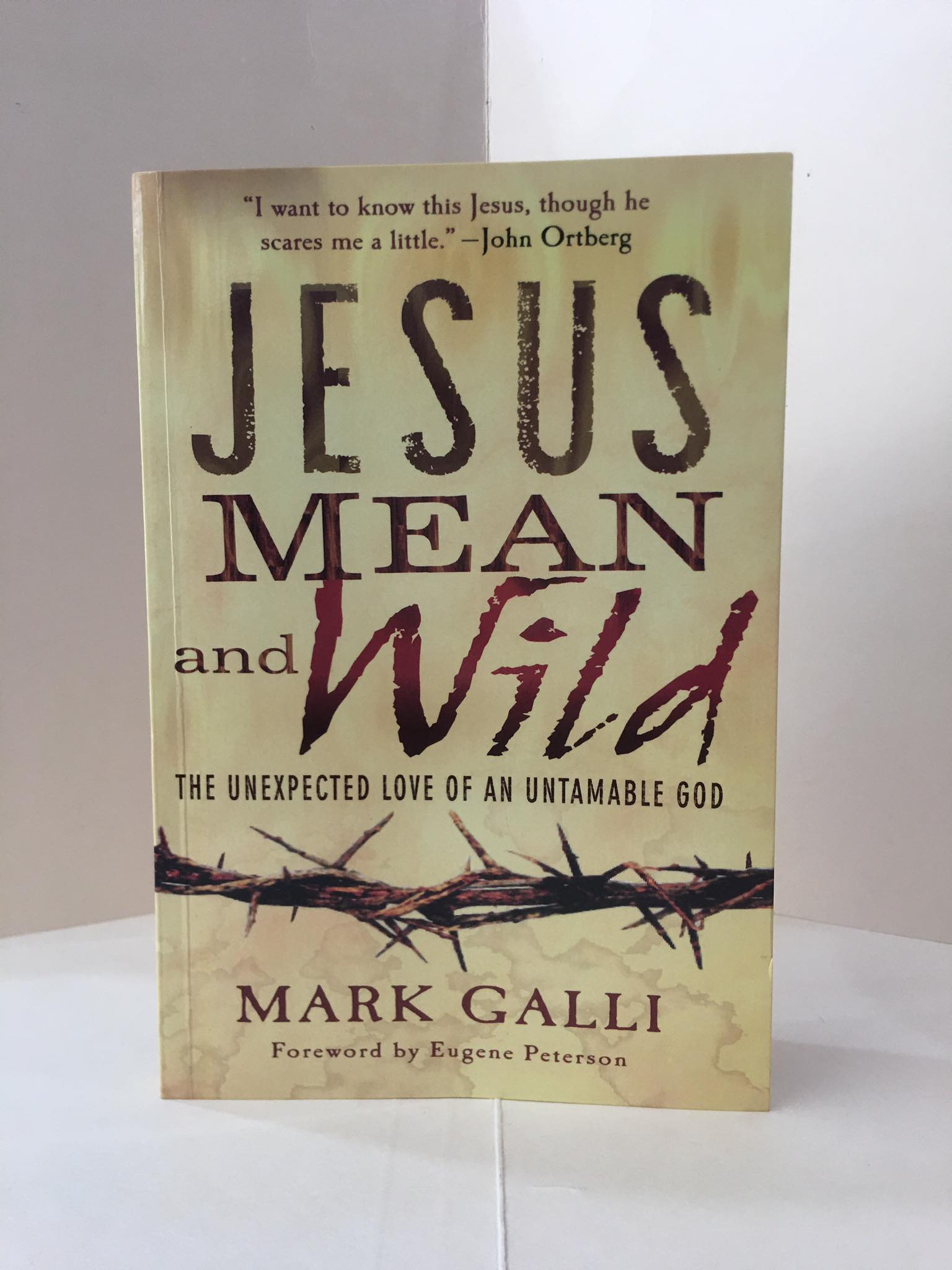 Jesus Mean and Wild: The Unexpected Love of an Untamable God