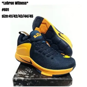 lebron witness 1