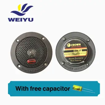 tweeter 100 watt
