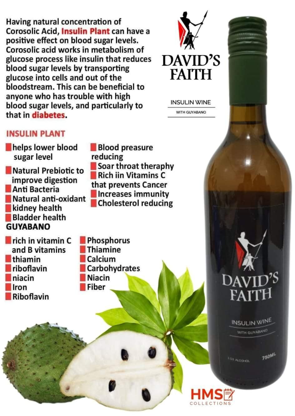 Buy 1 Take 1 David's Faith 100 Original Insulin Wine 750ml Guyabano