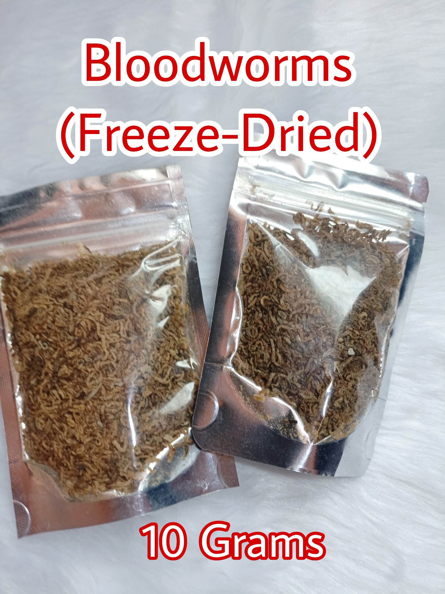 BLOODWORMS (FREEZEDRIED) 10 GRAMS Lazada PH