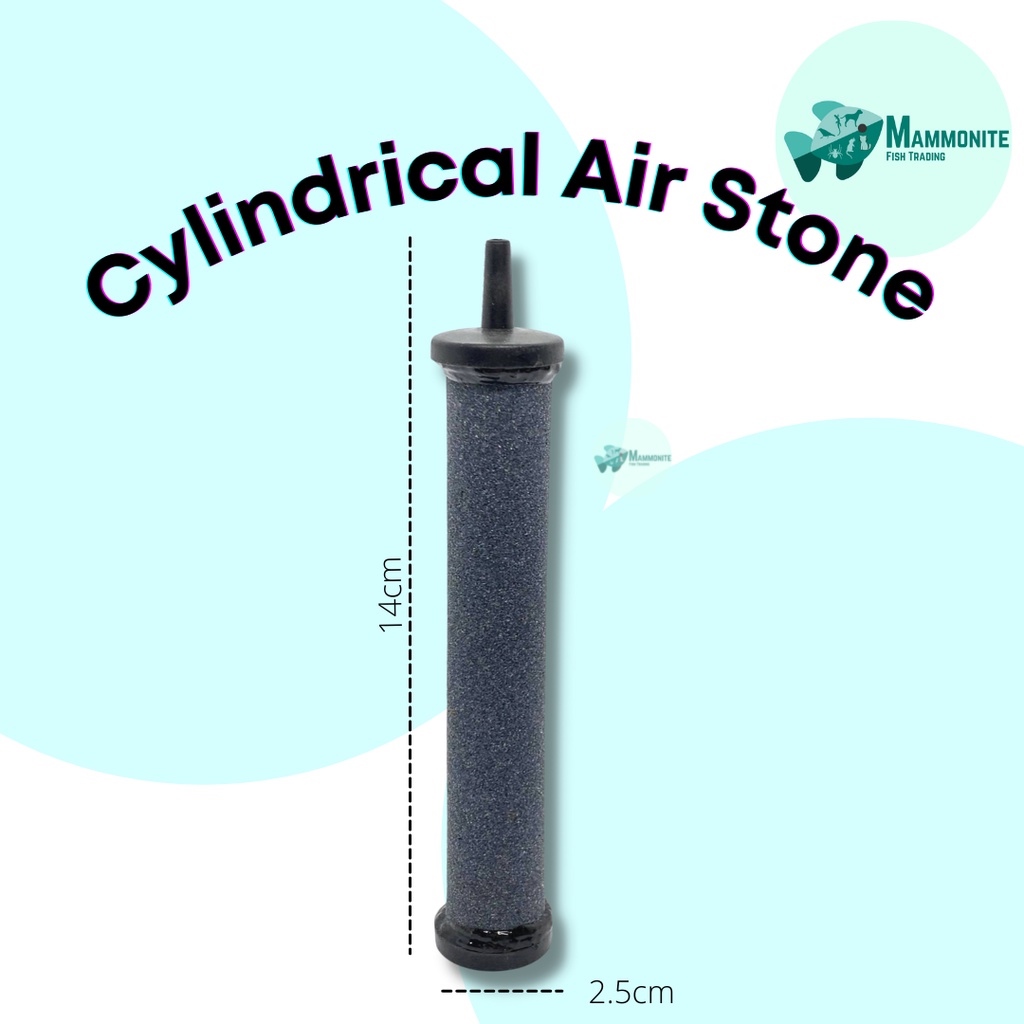 Aquarium Cylindrical Air Stone for Air Pump Bubble Producing Lazada PH