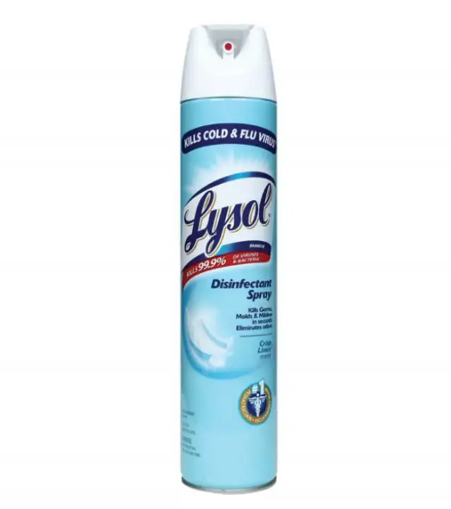 Lysol Disinfectant Spray 510g Price