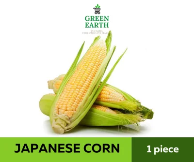 GREEN EARTH FRESH JAPANESE CORN - 1pc