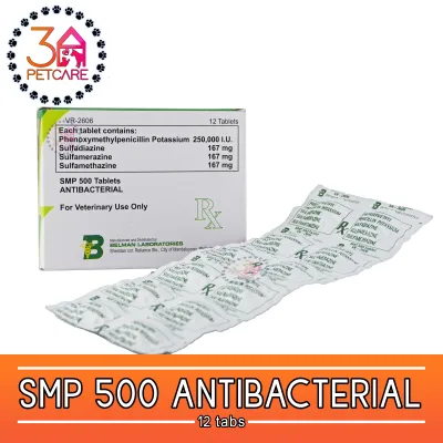 SMP 500 Anti Bacterial Tablets (Box of 12)
