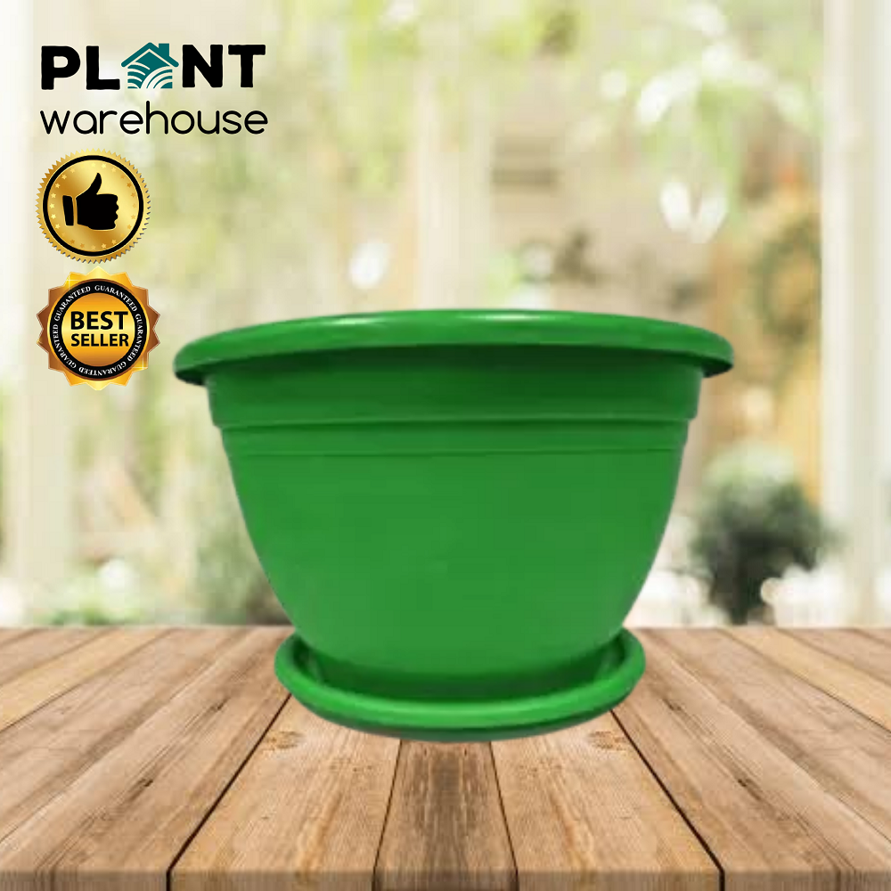 Plant Warehouse PH Plastic Pots for Plants or Flowers with Plate for ...