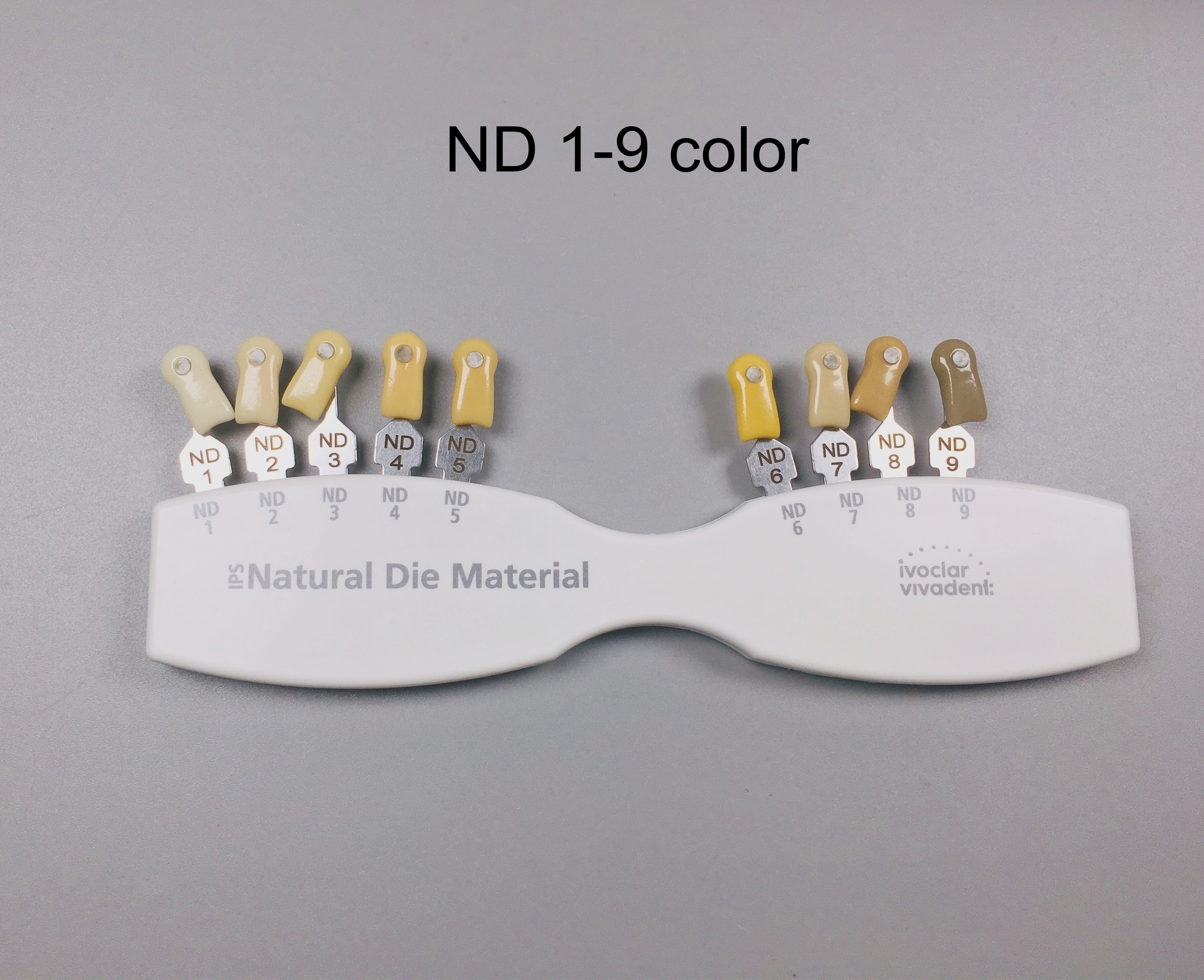 Dental ND19 Abutment Shade Guide for Porcelain Dentin Aesthetics