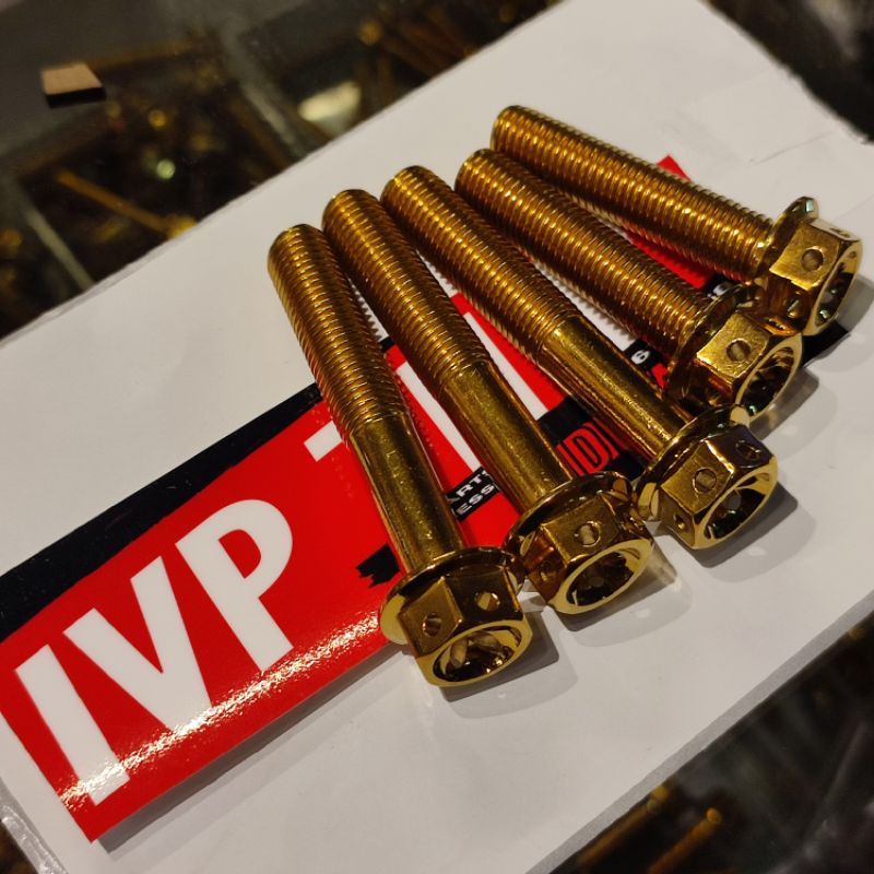 HENG PIPE + SWING ARM BOLTS SET FOR NMAX XMAX AEROX PCX ADV durable Lazada PH