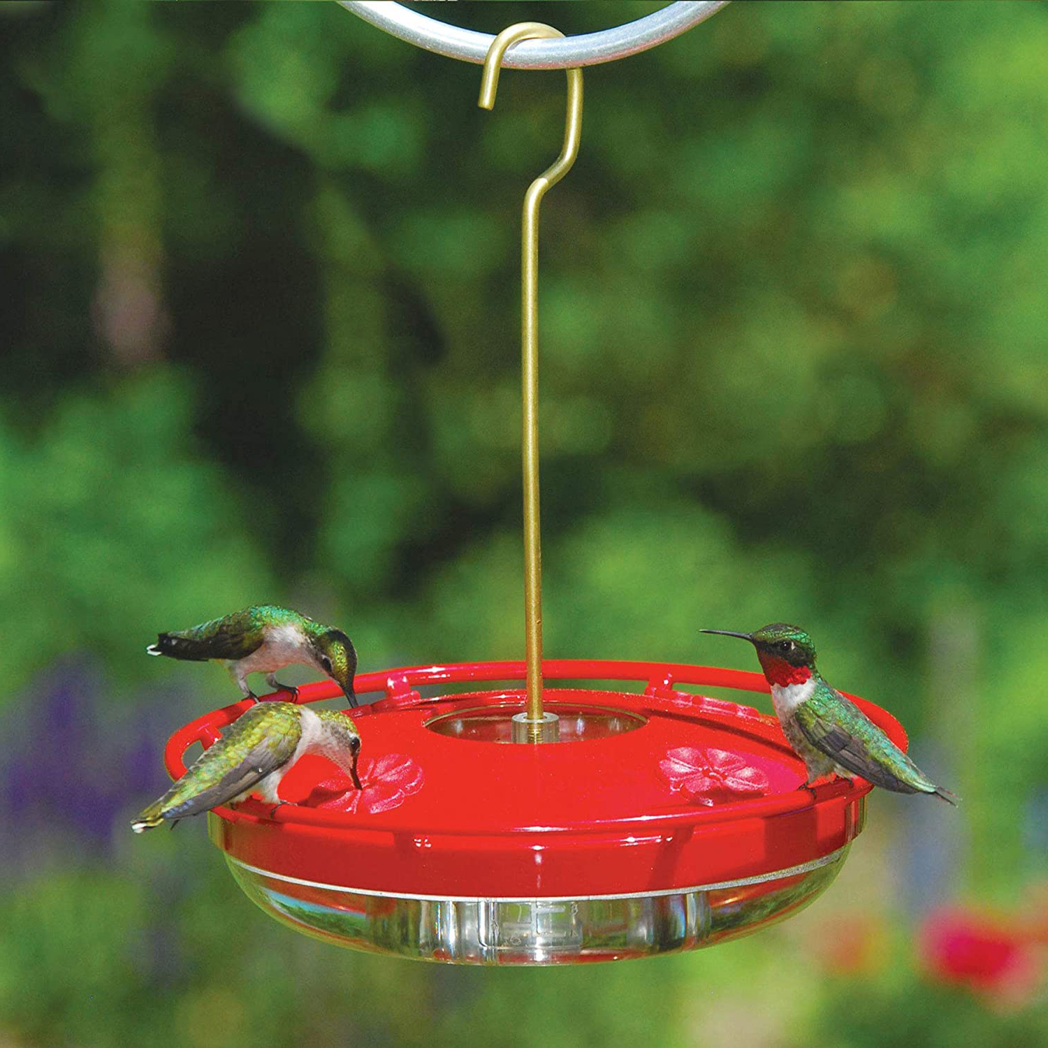 CBT Easy To Clean Outdoor Creative Tree Hanging Ant Moat Leakproof Bird