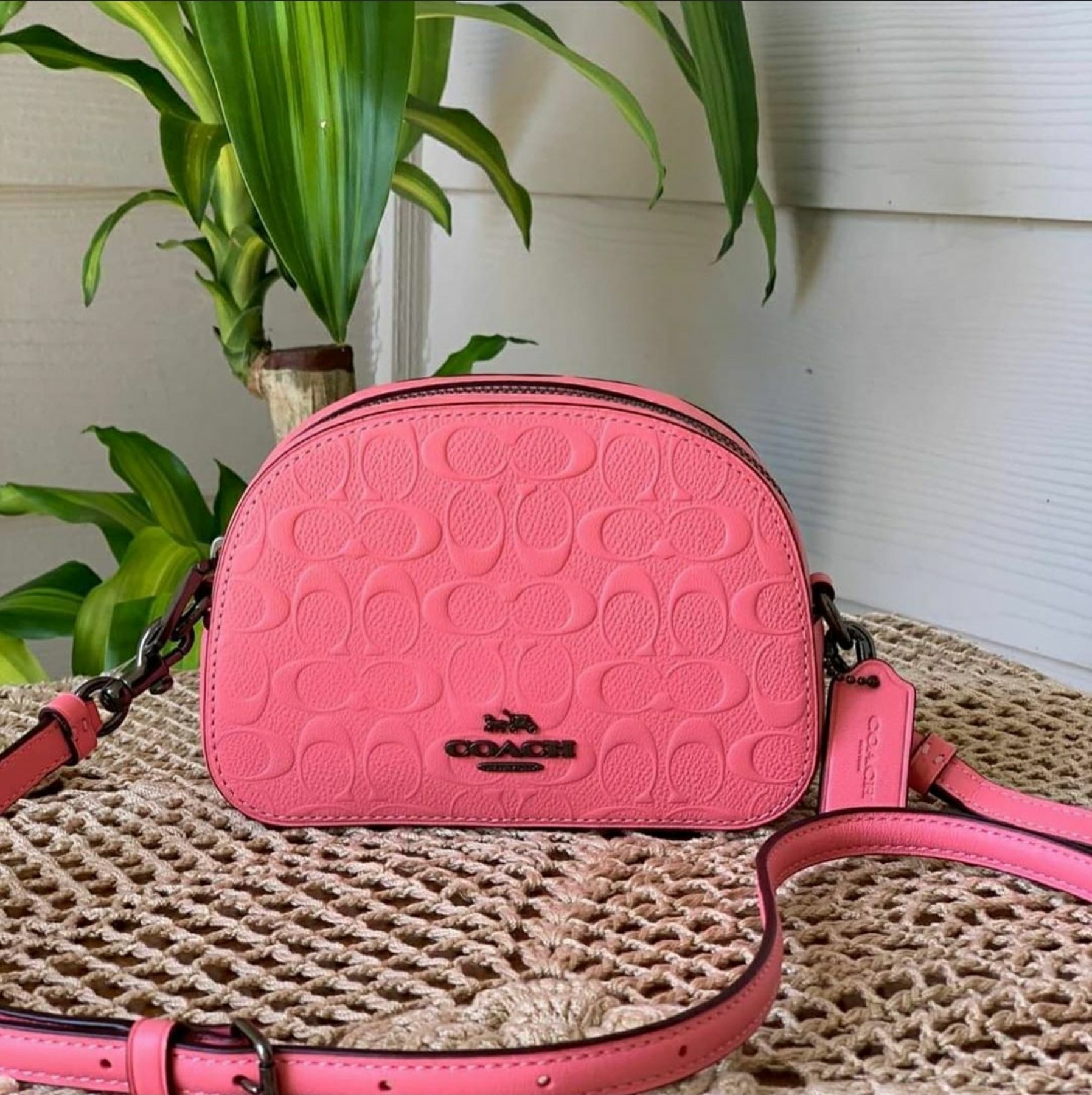 Coach 3278 Mini Serena Satchel Bag in Pink Lemonade Signature Smooth Calf  Leather Double Zip with Top Handle - Women's Crossbody Bag | Lazada PH