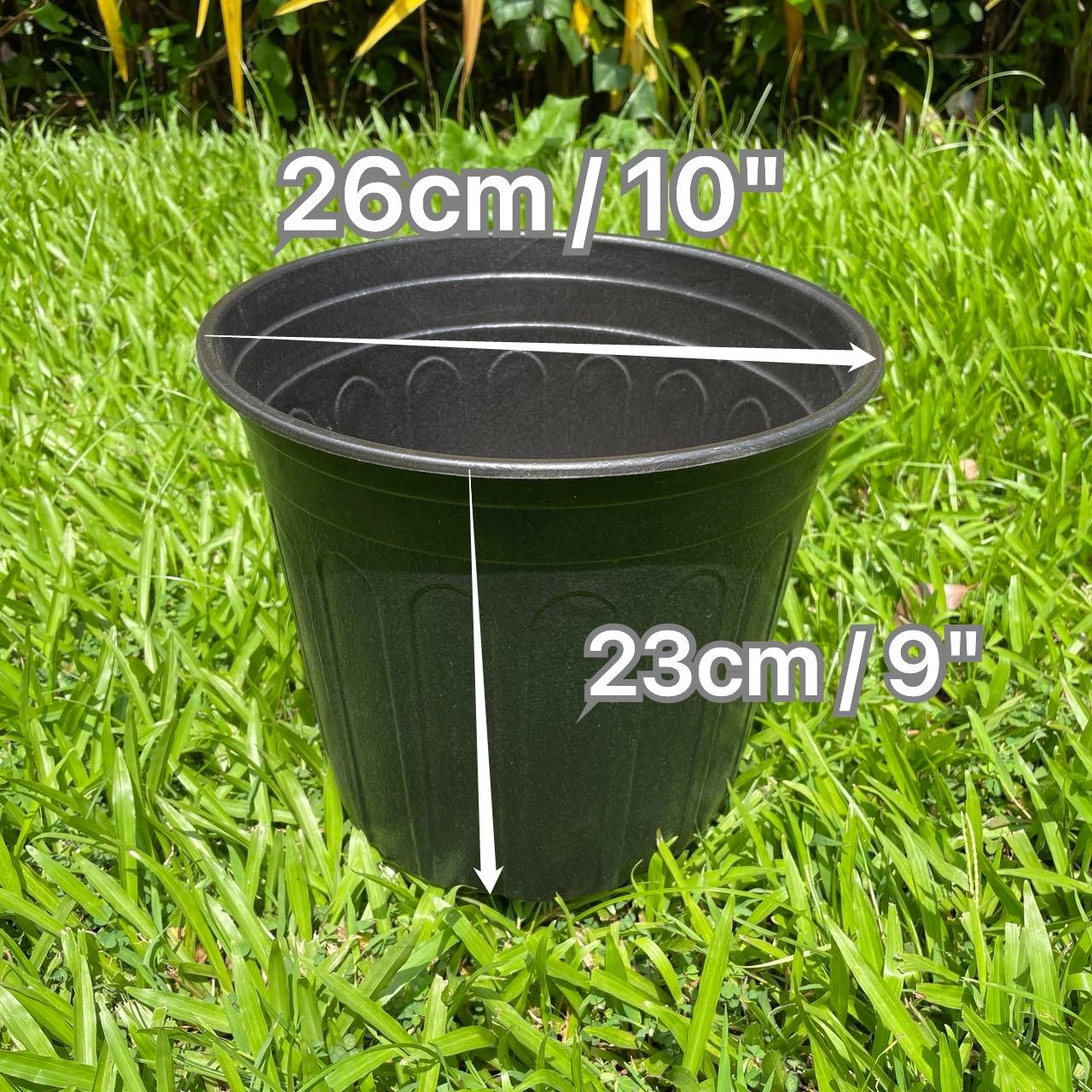 LHK 6/12/24pcs High PVC Pots/Black PVC Pots Long PVC Pots Flower Garden