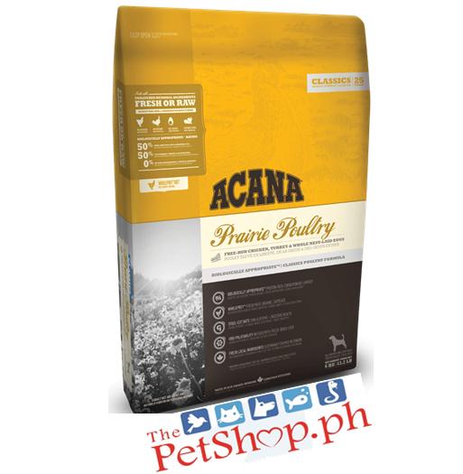 pain meds for dogs after neutering