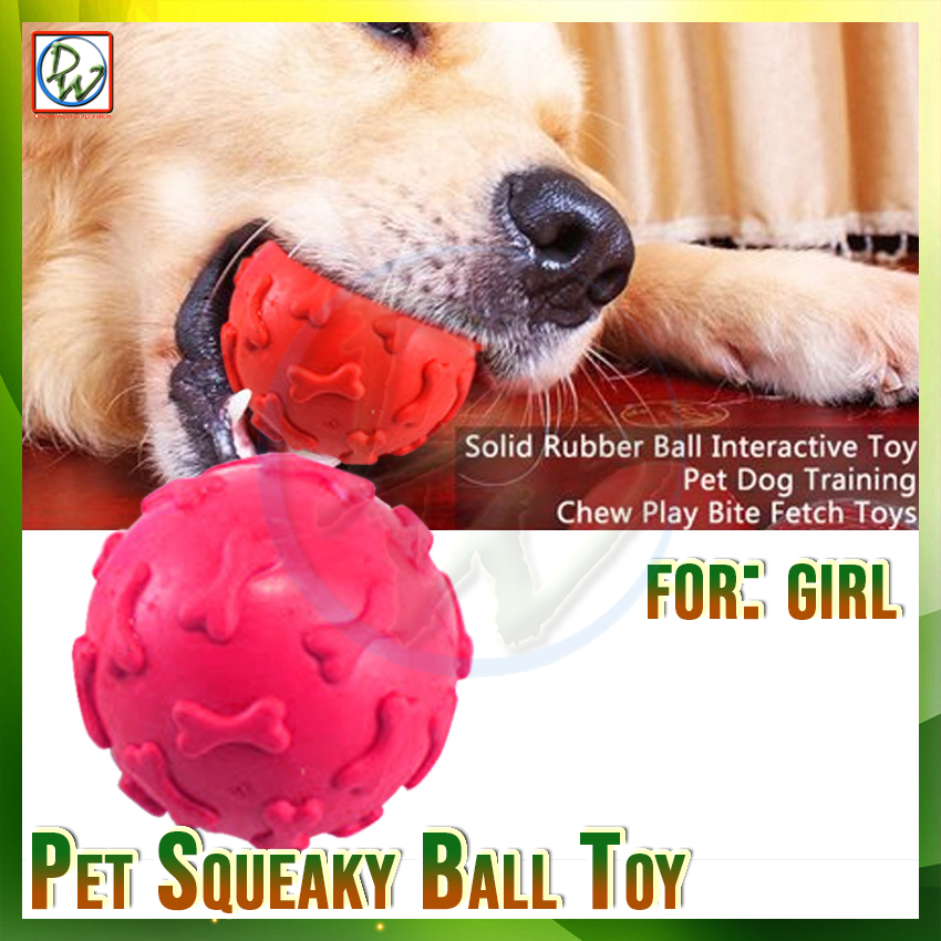 Dog Toy Rubber Squeaky Bouncy Ball Bone Design Solid Bite Training Dog 