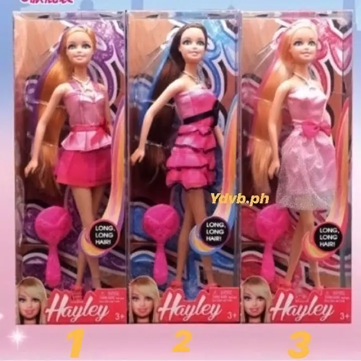 HAYLEY LONG HAIRED BARBIE DOLL WITH 