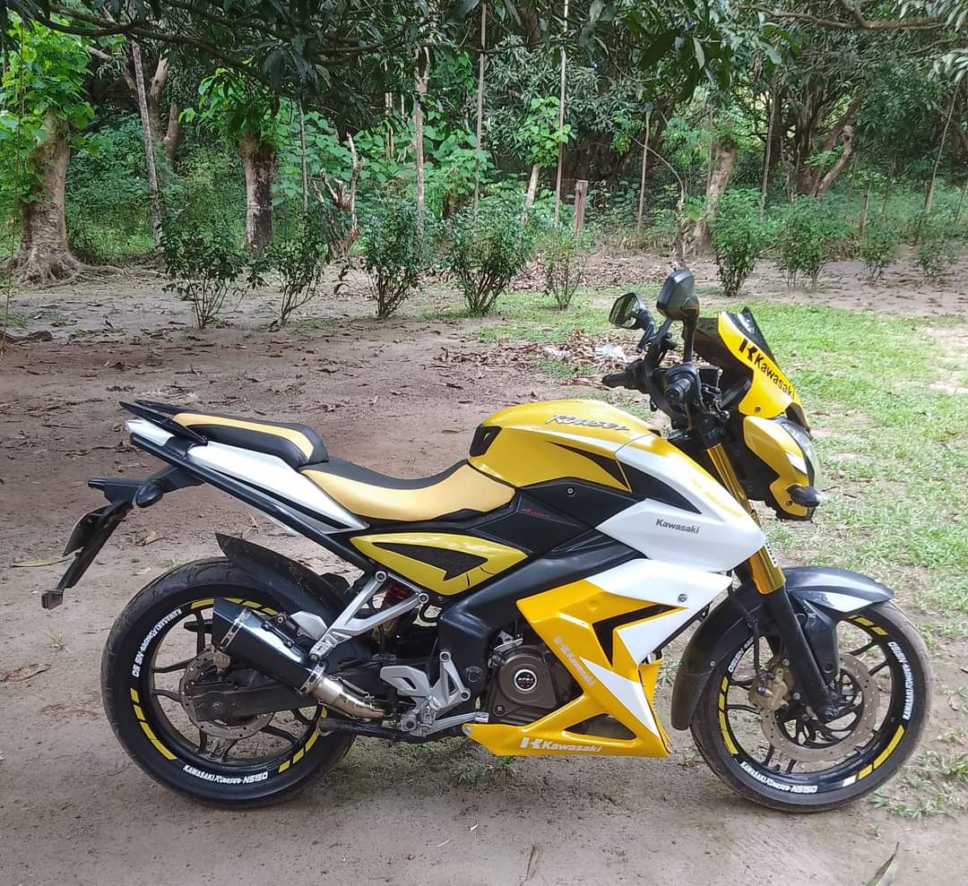 Rouser Ns200 Yellow Kawasaki Ns 200 New Model Yellow Pulsar Ns 200