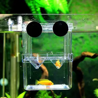 New Aquarium Fish Tank Guppy Double Breeding Breeder Box Rearing