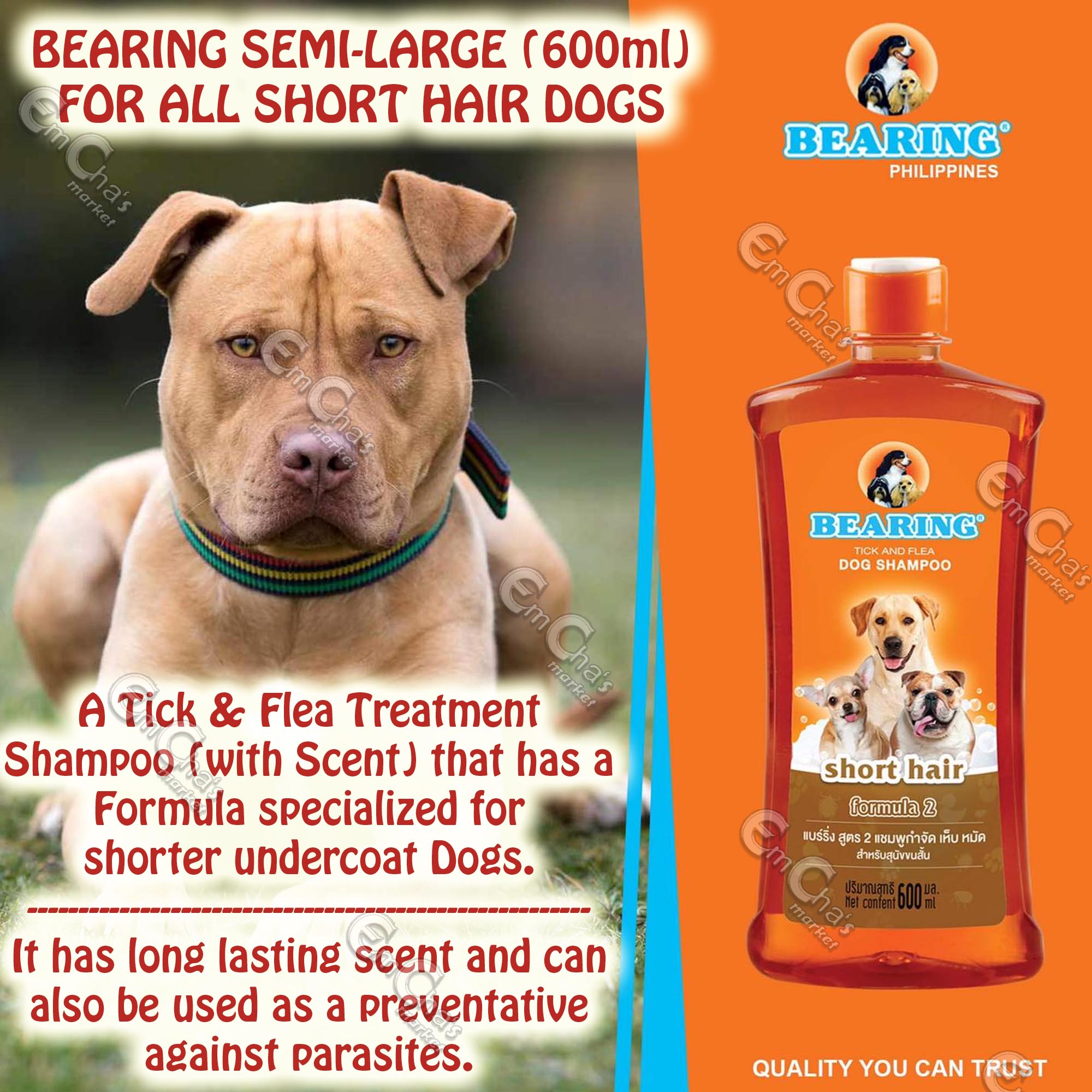 Bearing Formula 2 (Short Hair) (SEMI-LARGE 600ml) Tick and Flea Dog Shampoo  Formulated for ALL SHORT-HAIRED DOGS (agr) | Lazada PH