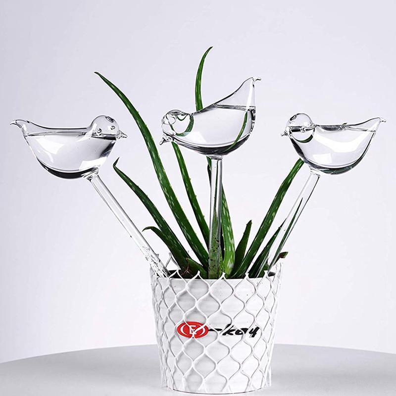 Glass Plant Flowers Water Feeder Self Watering Bird Swan Plant