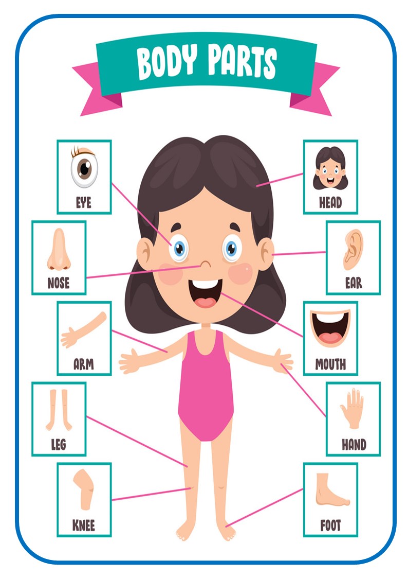 Laminated Educational Chart ((a4 Size bond paper 8.3 x 11.7 inches ...