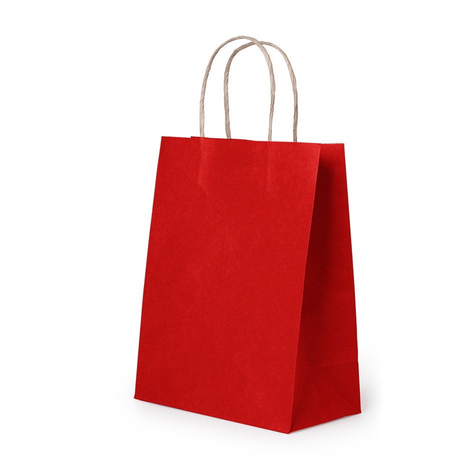 Kraft Paper Bag with twist Handle bag Gift Bag Kraft Bag Plain Hand bag
