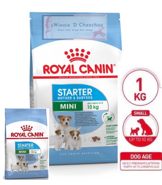 royal kennel mini starter